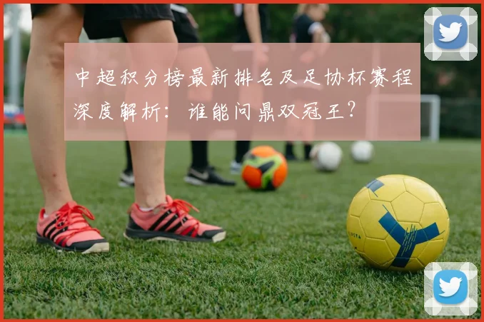 中超积分榜最新排名及足协杯赛程深度解析：谁能问鼎双冠王？