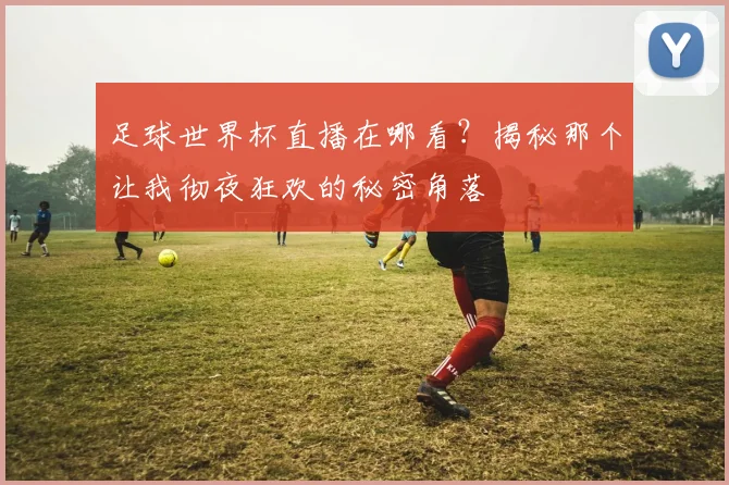 足球世界杯直播在哪看？揭秘那个让我彻夜狂欢的秘密角落