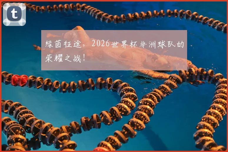 绿茵征途，2026世界杯非洲球队的荣耀之战！