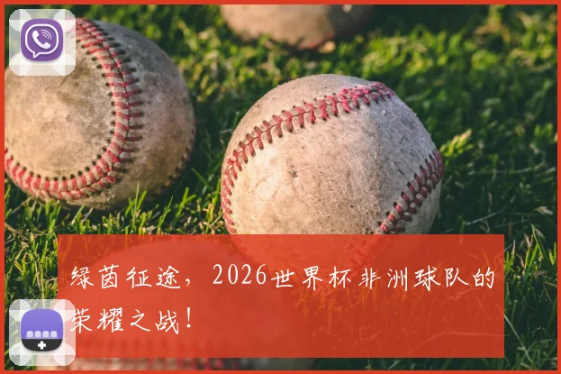 绿茵征途，2026世界杯非洲球队的荣耀之战！