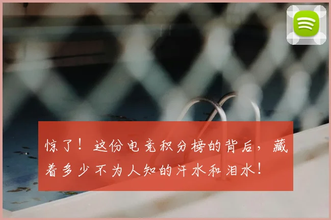 惊了！这份电竞积分榜的背后，藏着多少不为人知的汗水和泪水！